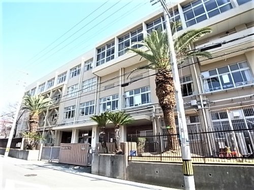 小学校　神戸市立福池小学校（小学校）まで316m