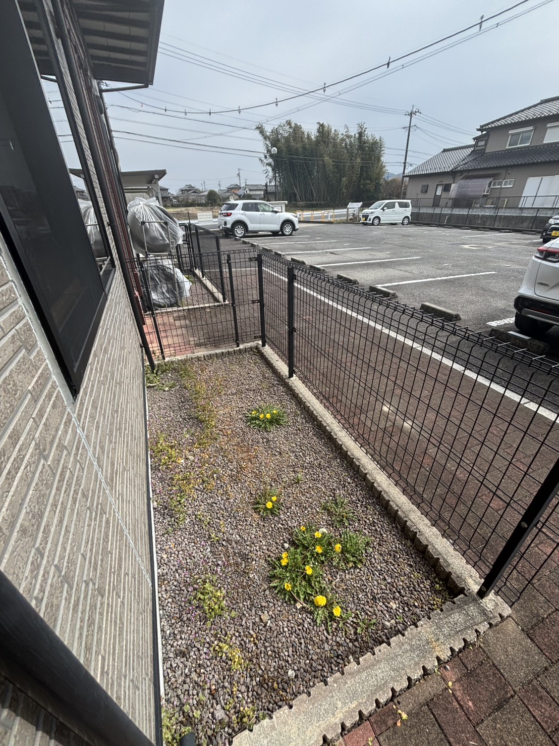 庭