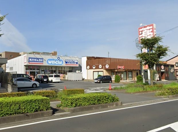 ドラックストア　ウエルシア　東川口店（ドラッグストア）まで1400m