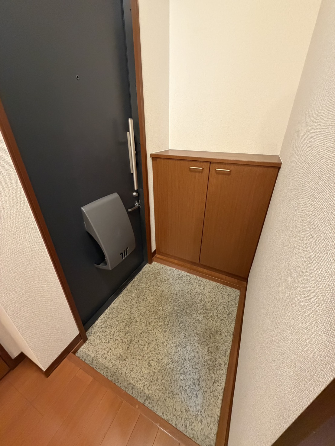 アンリシールIの玄関写真