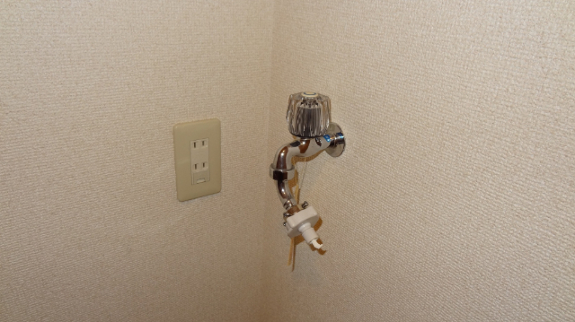LINMIIIのその他写真