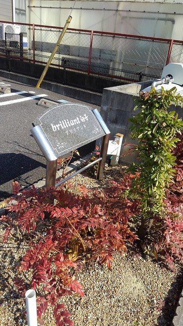 ブリリアント 白子のその他写真