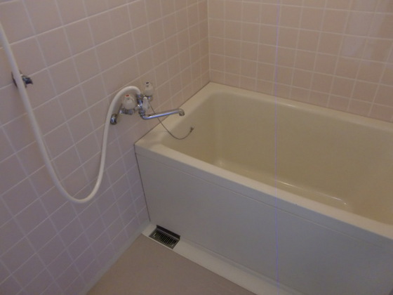 バス・シャワールーム　※別部屋の写真です