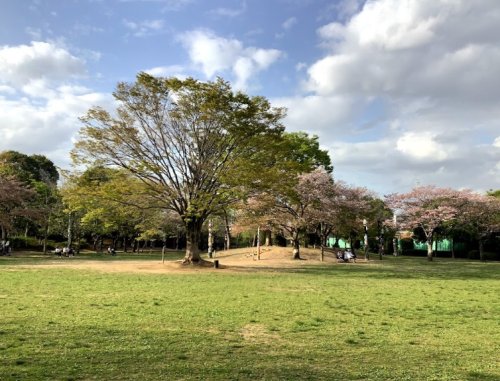 【ルミナスおおたかの森の公園】