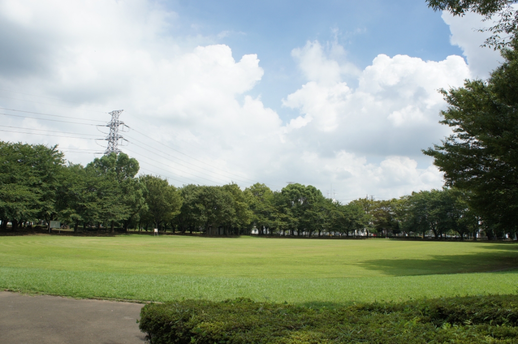 公園　杉戸西近隣公園（公園）まで1029m