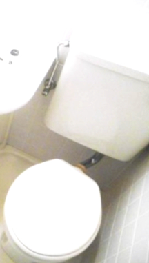 トイレ　トイレです。