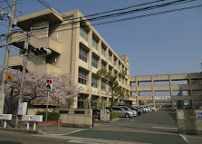 中学校　望海中学校（中学校）まで1491m