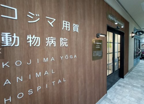 病院　コジマ用賀動物病院（病院）まで2284m