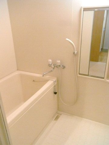 バス・シャワールーム　浴室には大きな鏡があります