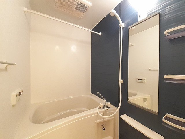 バス・シャワールーム　落ち着いた空間のお風呂です