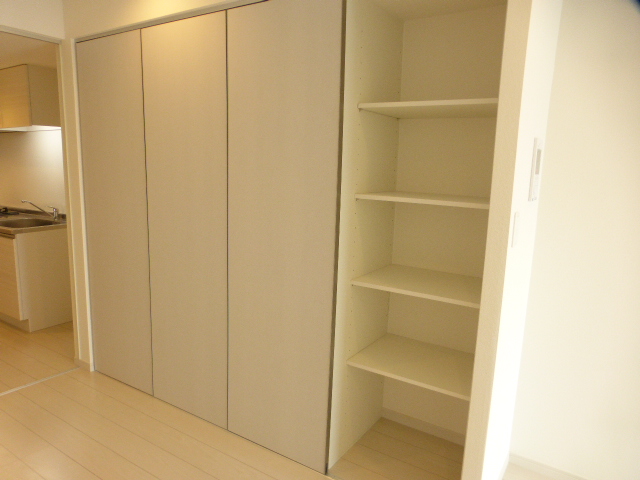収納　大容量　壁面クローゼット付