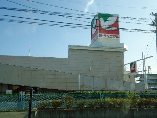 その他　ヨークベニマル遠見塚店（その他）まで784m