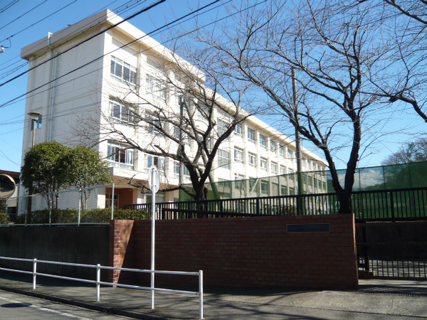 小学校　藤沢市立新林小学校（小学校）まで860m