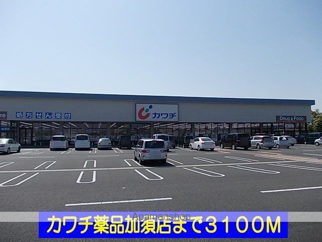 ドラックストア　カワチ薬品加須店（ドラッグストア）まで3100m