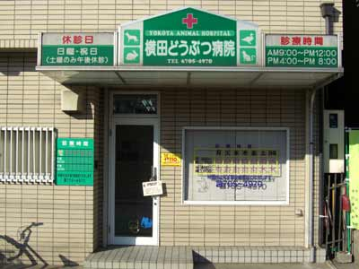 病院　横田動物病院（病院）まで57m