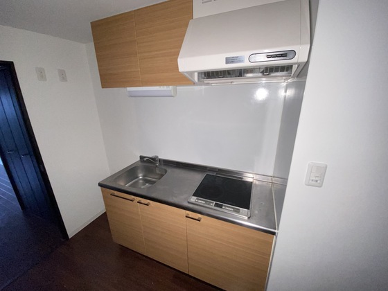 キッチン　※別部屋の写真です