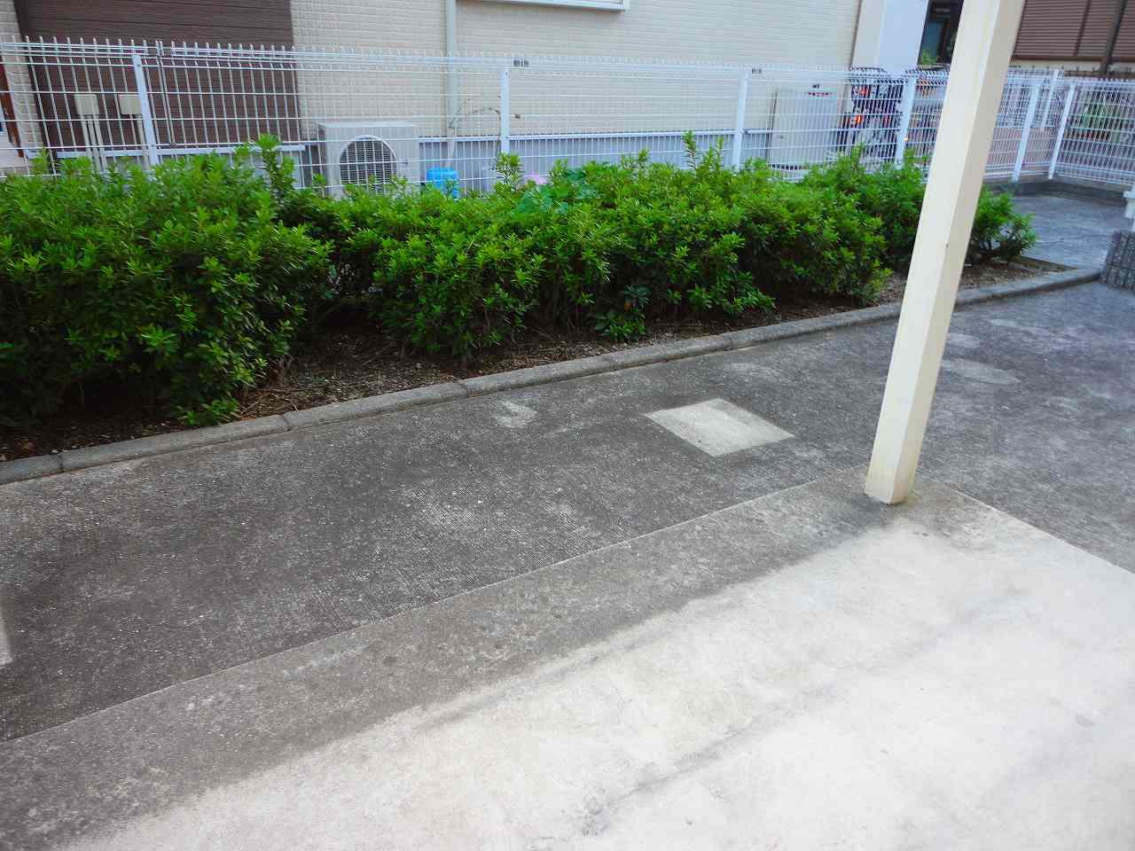 庭