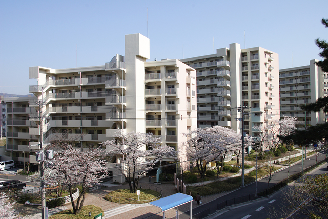 その他共有部分　春には敷地内の桜が咲き誇ります。