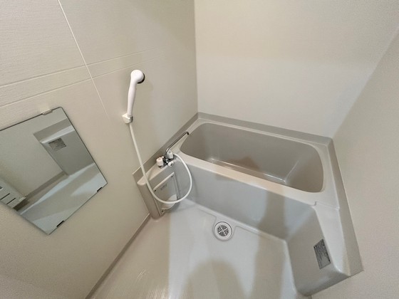 バス・シャワールーム　※別部屋の写真です