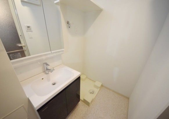 洗面設備　参考写真：別部屋タイプ