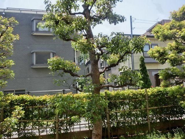 眺望　別部屋参考写真
