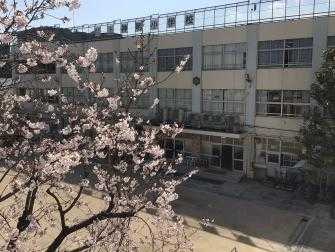 小学校　品川区立上神明小学校（小学校）まで409m