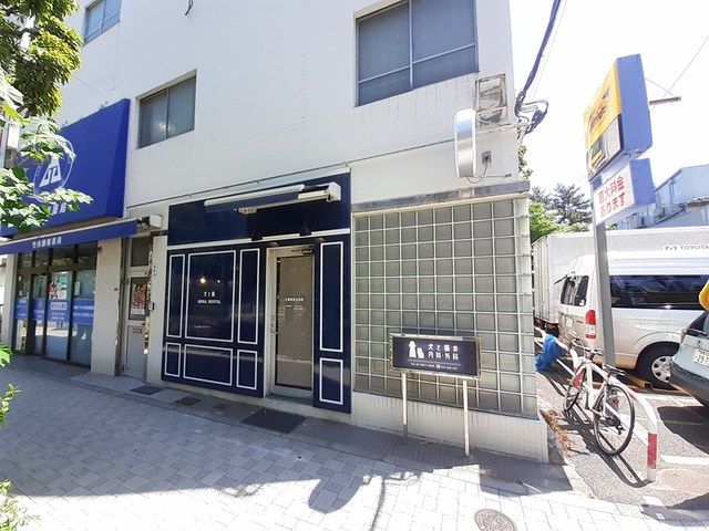 その他　本郷獣医科病院（その他）まで300m