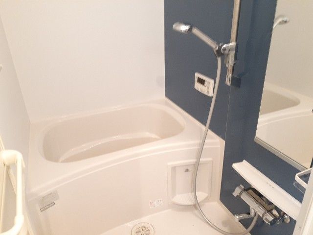 バス・シャワールーム　落ち着いた空間のお風呂です