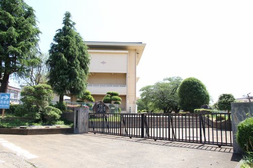 小学校　牛久市立中根小学校（小学校）まで1154m