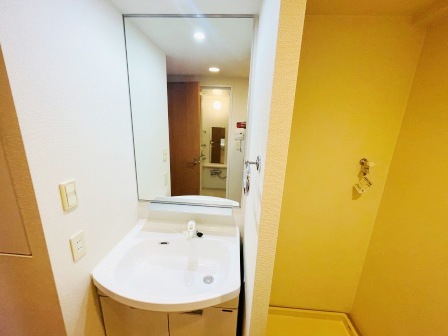 洗面設備　※別部屋写真