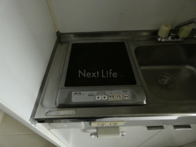 レイクトップ鶴川のキッチン写真