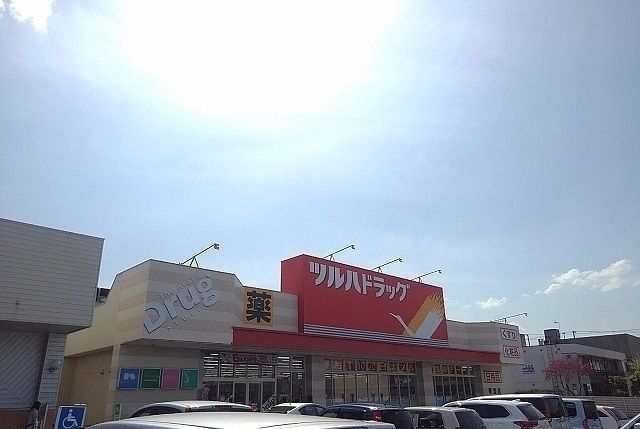 【アルバローズのドラックストア】