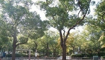 【テール　フェルティル　IIの公園】