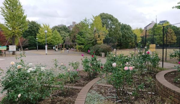 公園　駒場野公園（公園）まで508m