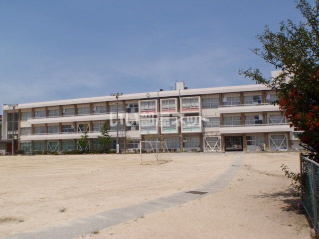小学校　丸亀市立城坤小学校（小学校）まで873m