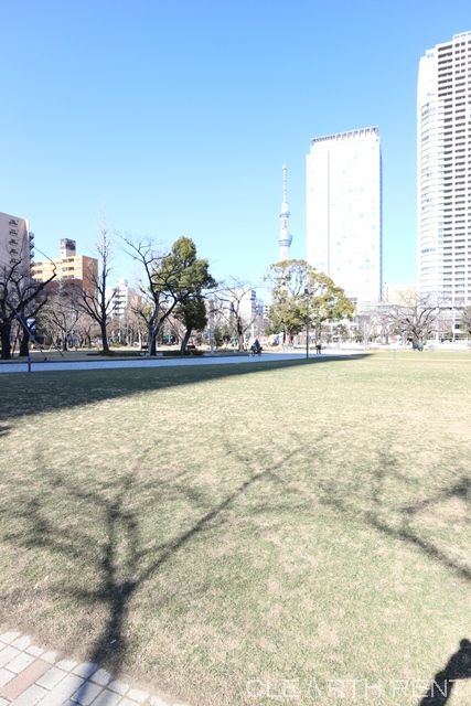 【アーバネックス錦糸町NORTHの公園】