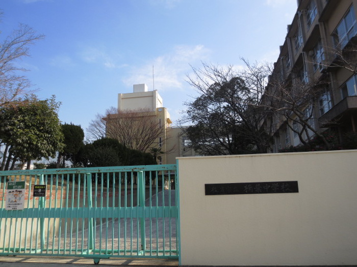 中学校　楠葉中学校（中学校）まで1100m