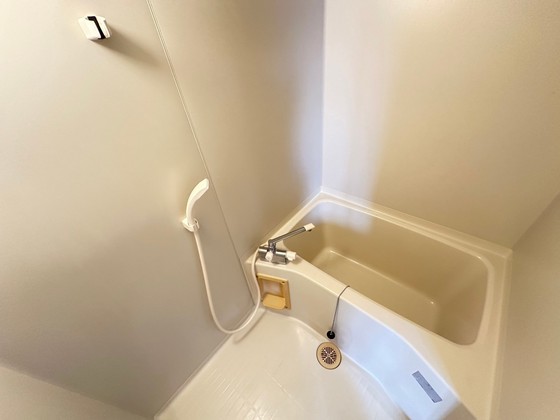 バス・シャワールーム　※別部屋の写真です