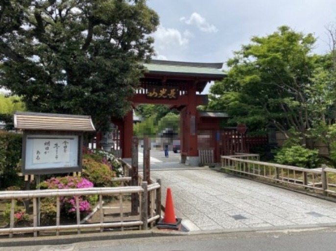 その他　妙蓮寺（その他）まで1247m
