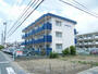 松下細島ライフ 3階 築34年8ヶ月の賃貸物件