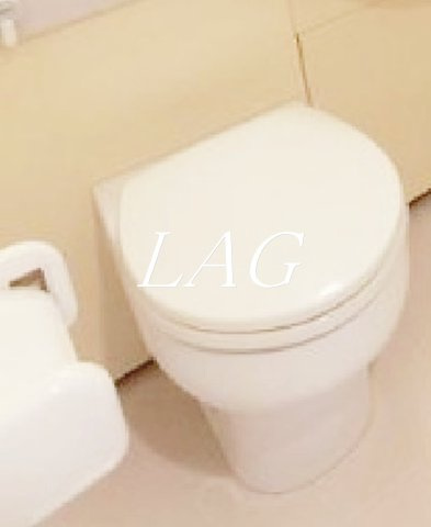 トイレ　トイレです。（同仕様です。）