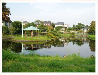 公園　中丸公園（公園）まで876m