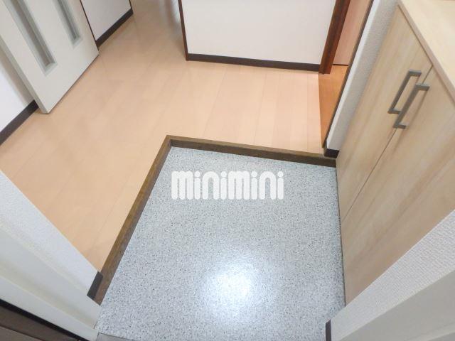 玄関　※他号室の写真です
