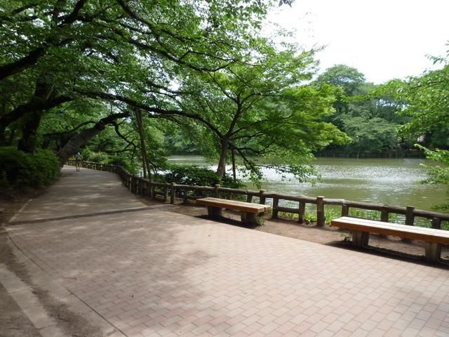 公園　井の頭恩賜公園（公園）まで280m