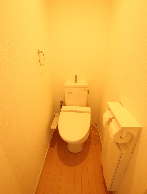 トイレ　清掃前のお写真となります。