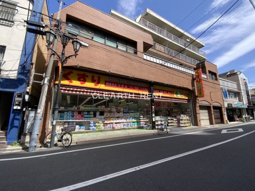 ドラックストア　どらっぐぱぱす 滝野川店_（ドラッグストア）まで744m