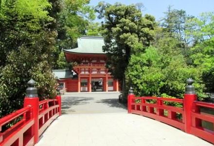 その他　氷川神社（その他）まで17m