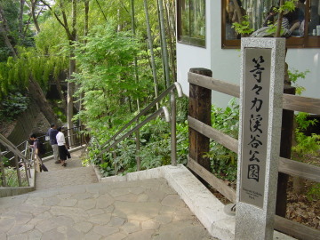 公園　等々力渓谷公園（公園）まで592m