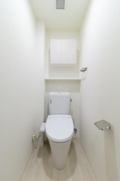 東急東横線 学芸大学駅 徒歩13分 6階建 築8年のトイレ写真