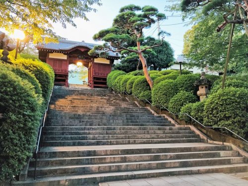 その他　護国寺（その他）まで183m